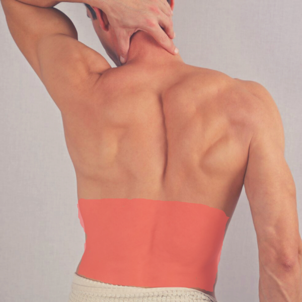 MEDIA-ESPALDA-INFERIOR-600x600