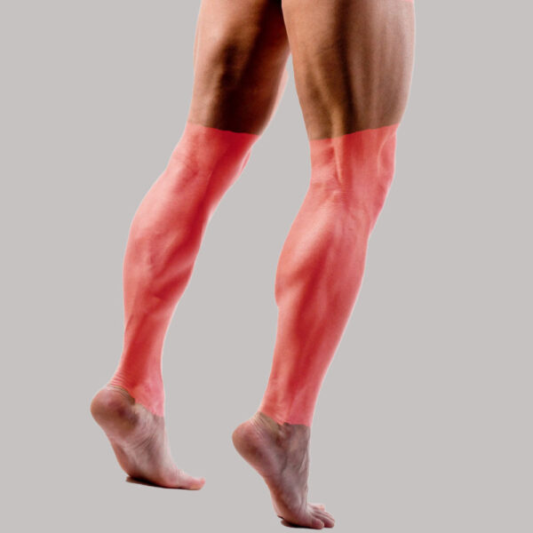 media_pierna_hombre_con_rodilla-600x600